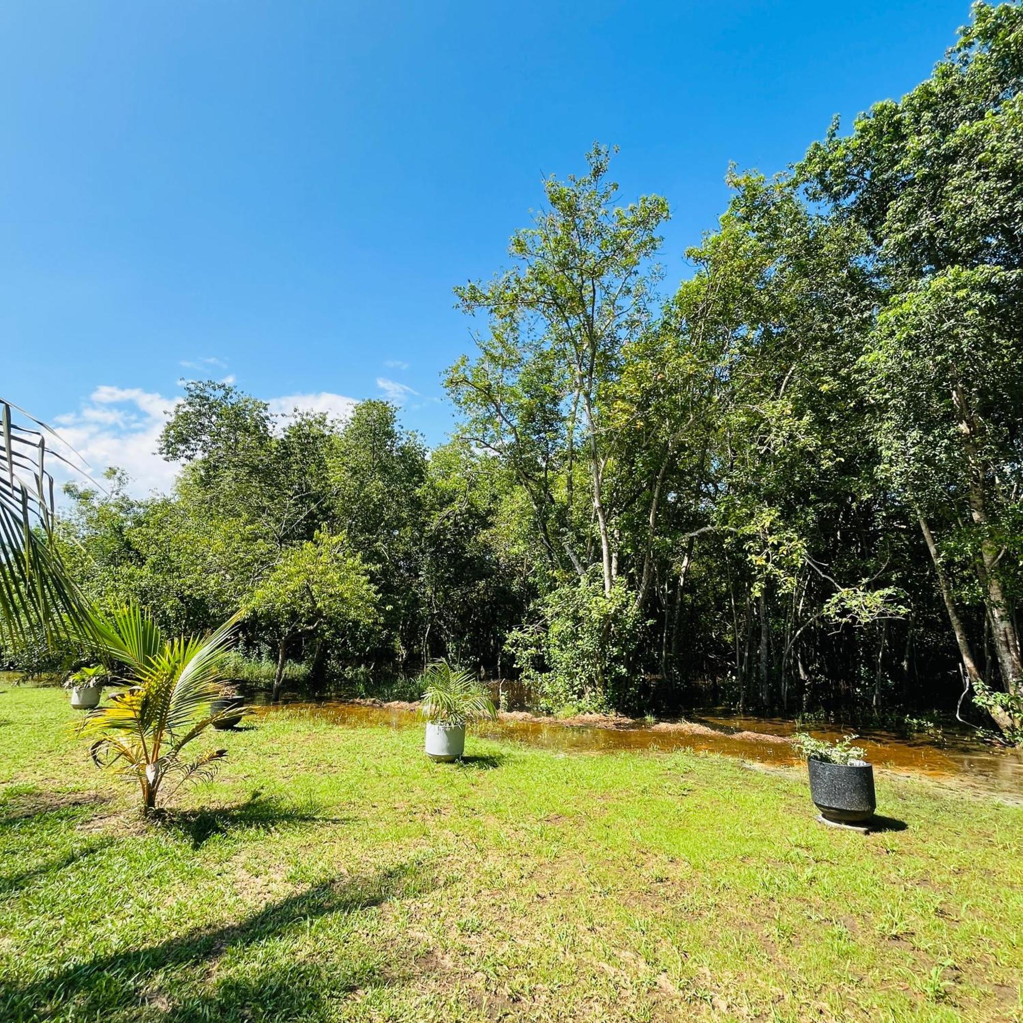 טנגלה Hanguk Lanka Lagoon Villa מראה חיצוני תמונה