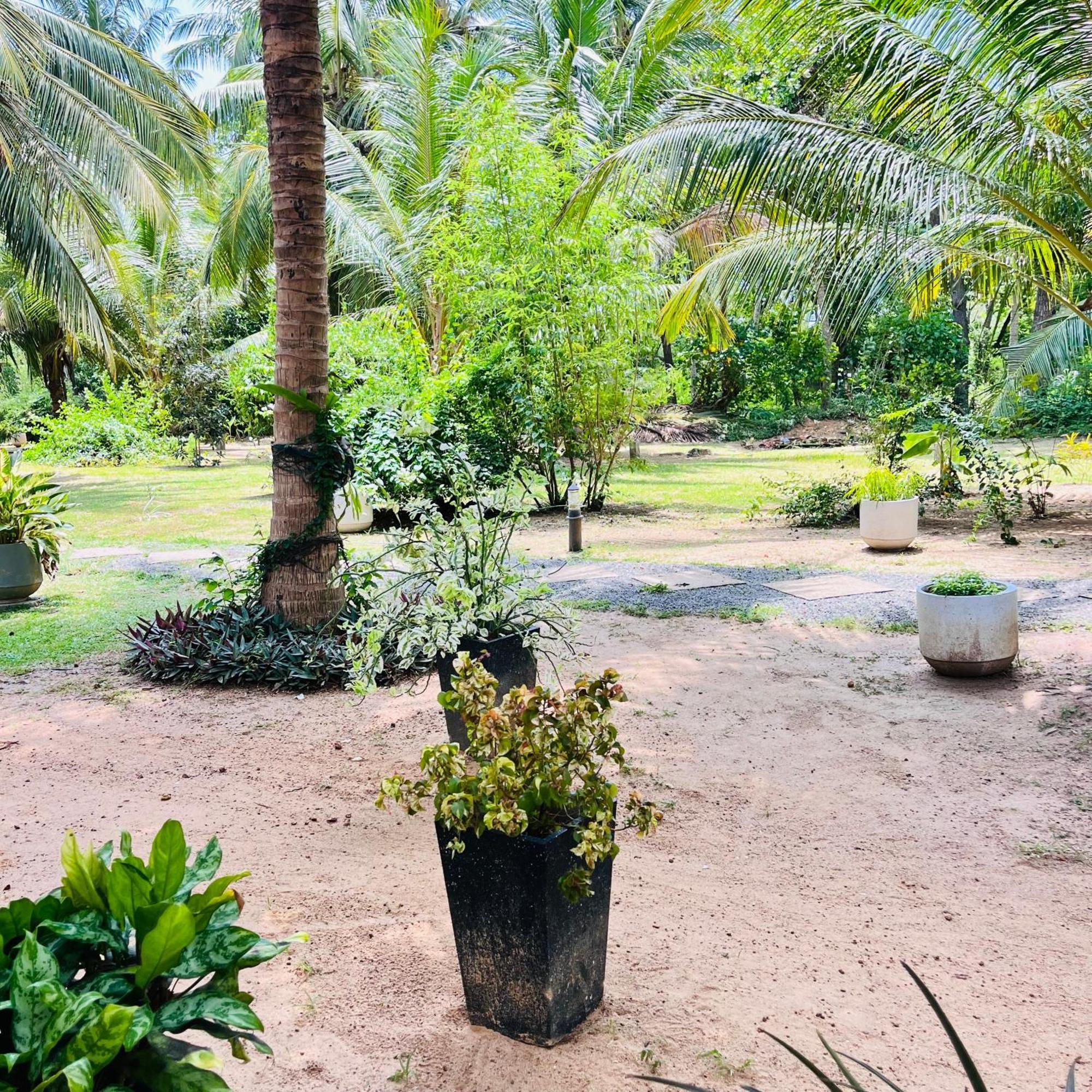 טנגלה Hanguk Lanka Lagoon Villa מראה חיצוני תמונה