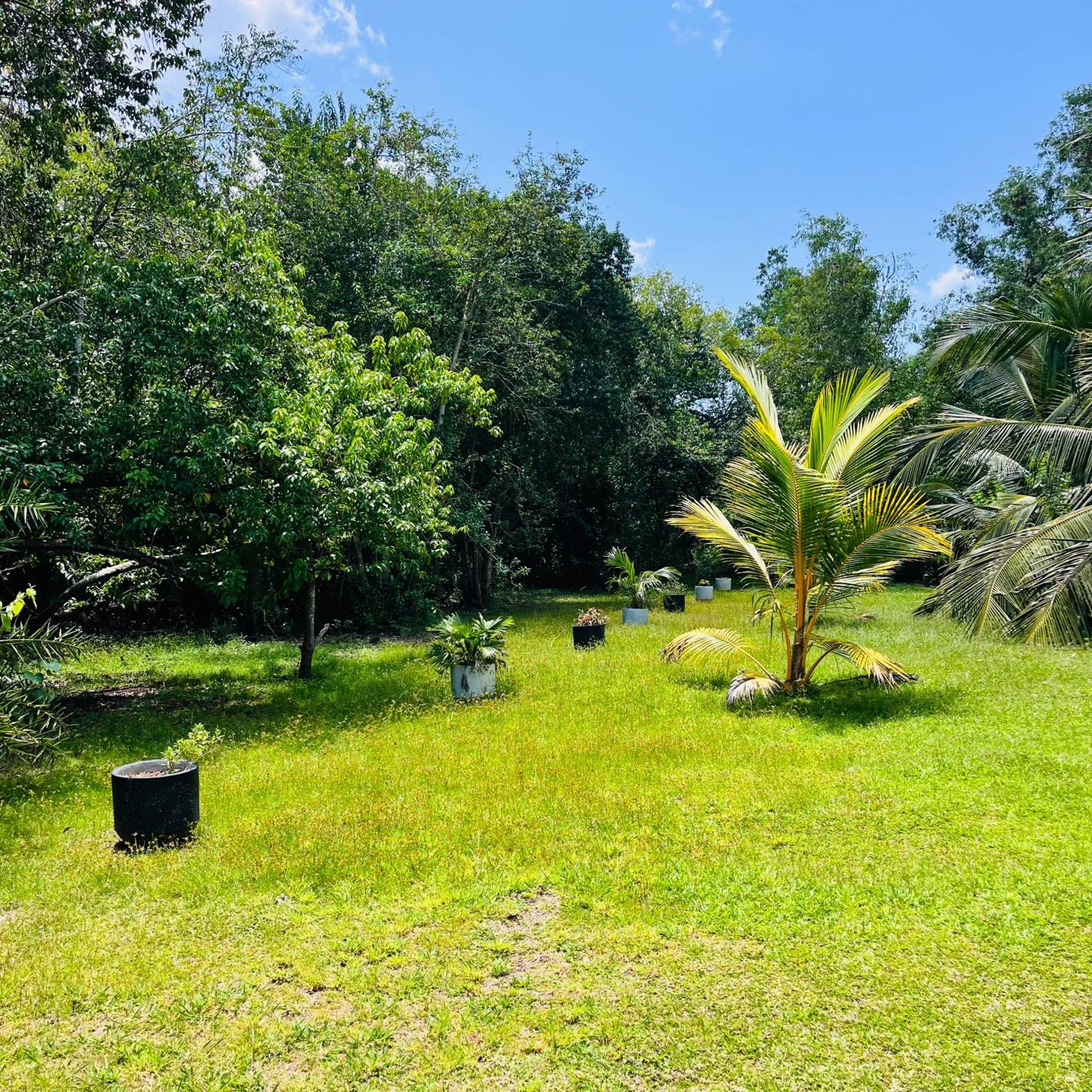 טנגלה Hanguk Lanka Lagoon Villa מראה חיצוני תמונה