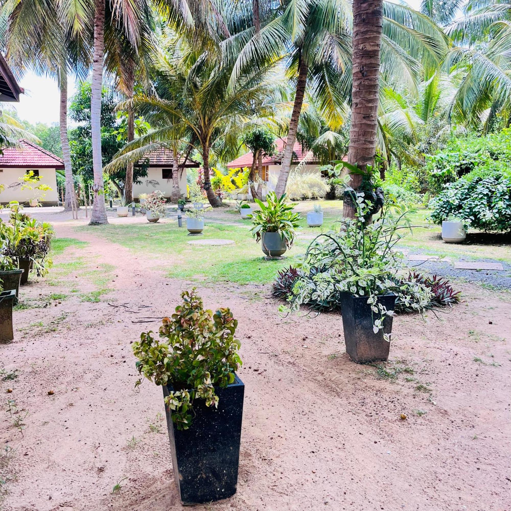 טנגלה Hanguk Lanka Lagoon Villa מראה חיצוני תמונה