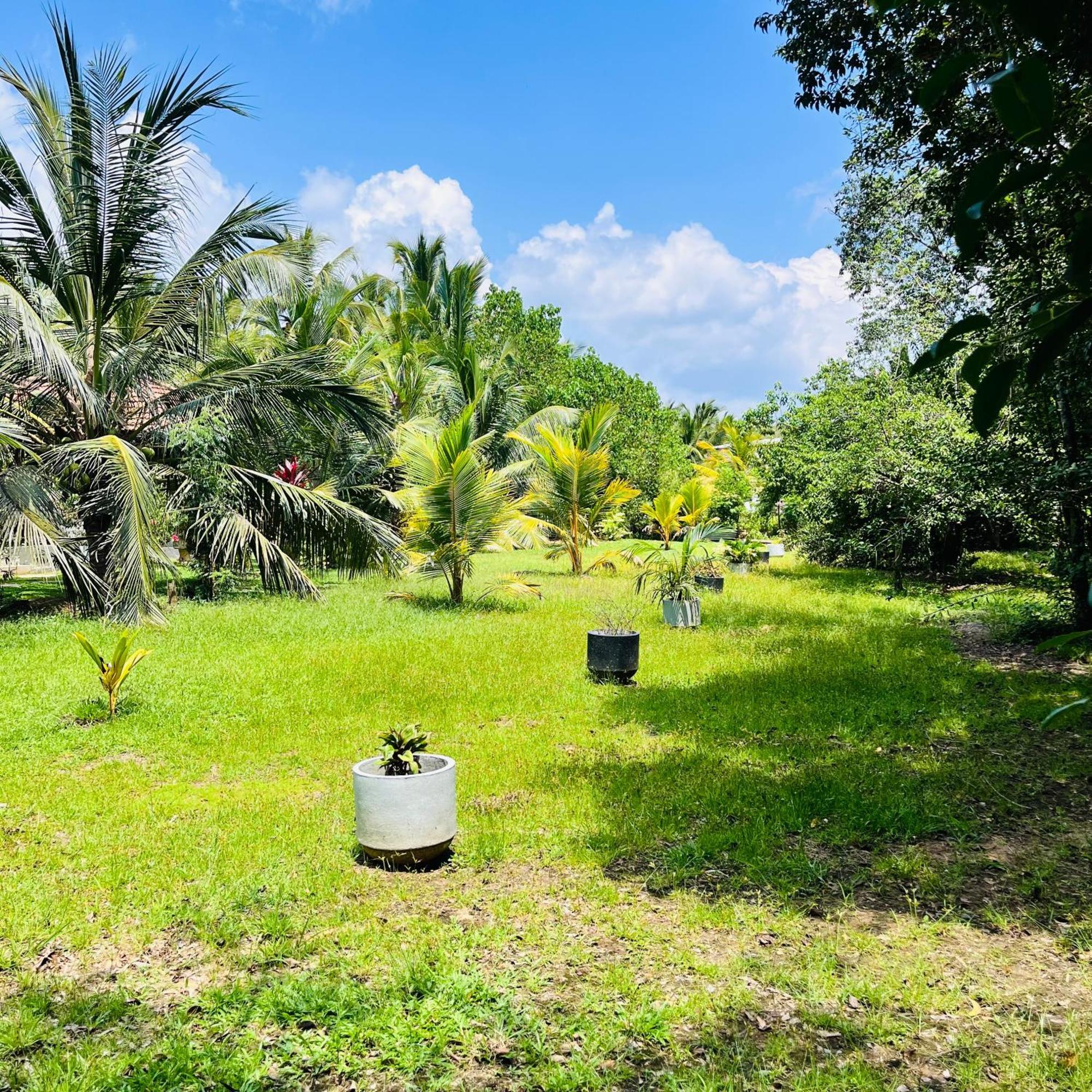 טנגלה Hanguk Lanka Lagoon Villa מראה חיצוני תמונה