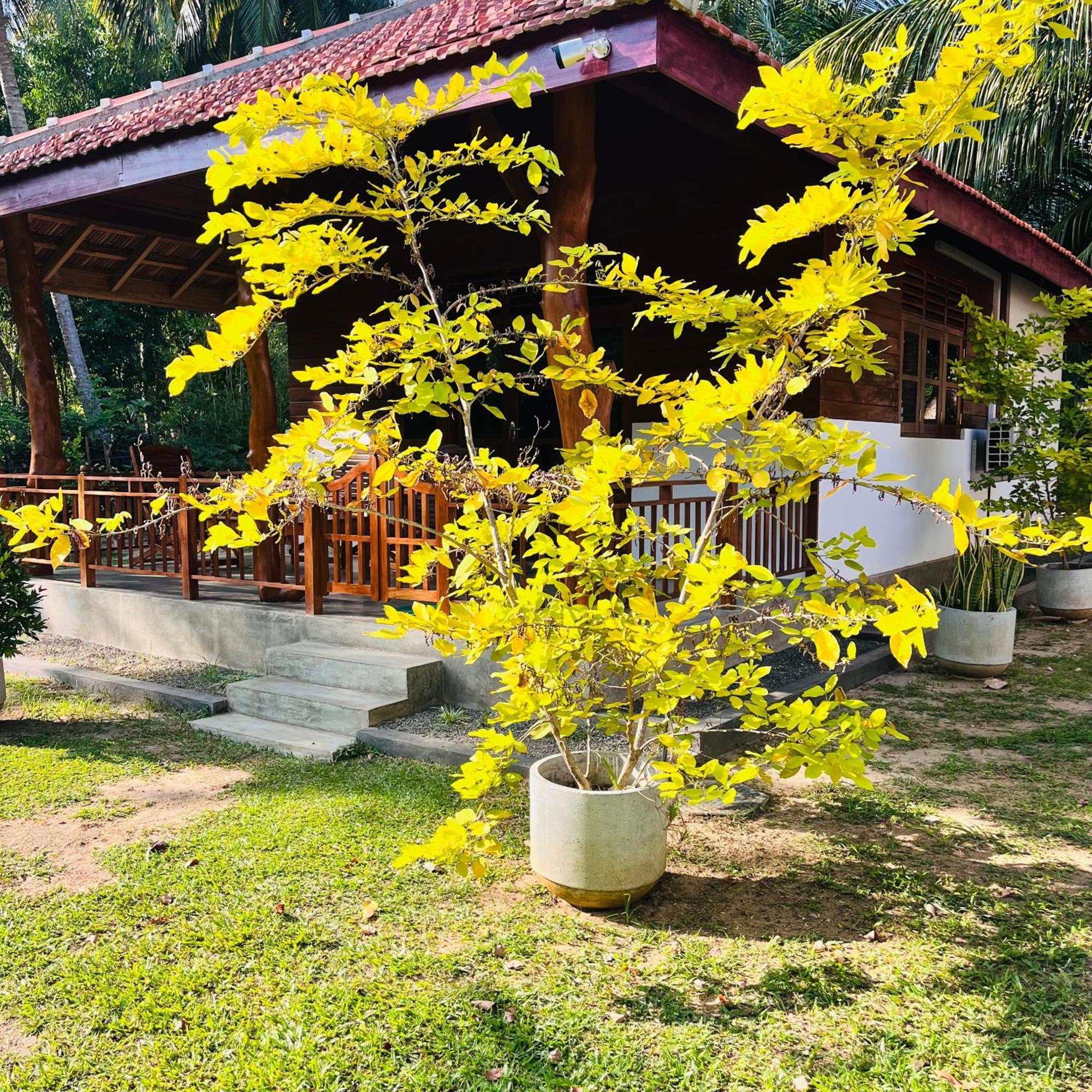 טנגלה Hanguk Lanka Lagoon Villa מראה חיצוני תמונה
